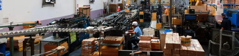 Manufacturing plant with boxes on an assembly line